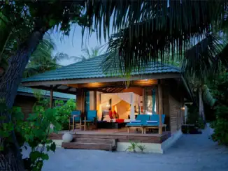 Villa Canareef Resort Bild: https://canareef.com/